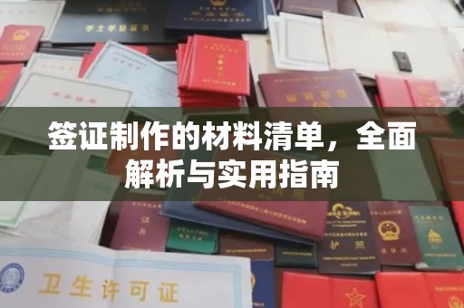 七星关签证制作的材料清单，全面解析与实用指南